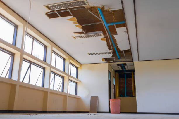 Best Basement water damage restoration  in Zanesville, OH