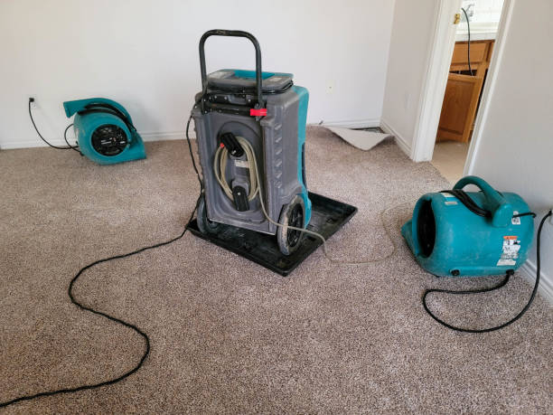 Best Water damage restoration specialists  in Zanesville, OH