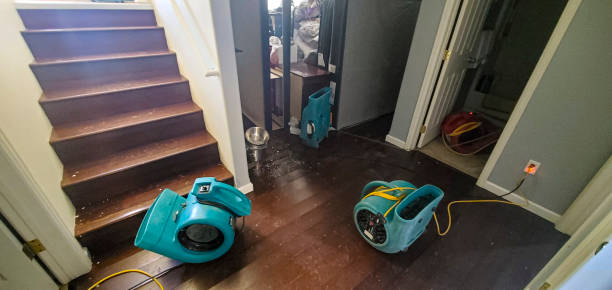 Best Fire Damage Restoration  in Zanesville, OH
