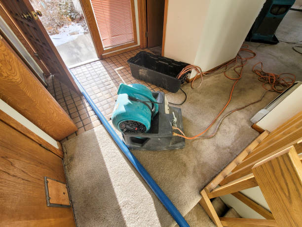 Best Flood restoration services  in Zanesville, OH