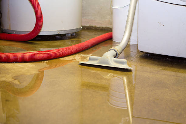 Best Water damage cleanup near me  in Zanesville, OH