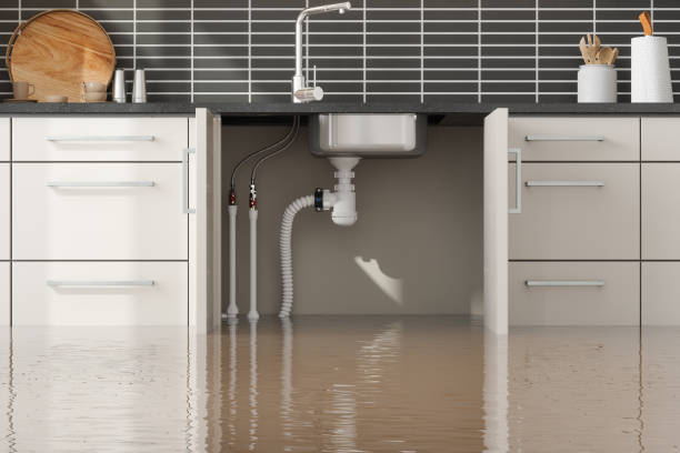 Best Professional water damage repair  in Zanesville, OH